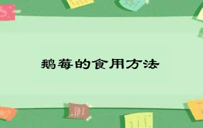 鹅莓的食用方法