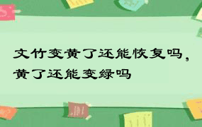 文竹变黄了还能恢复吗，黄了还能变绿吗