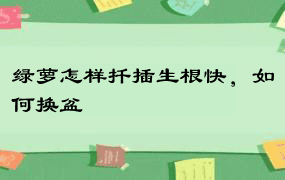 绿萝怎样扦插生根快，如何换盆