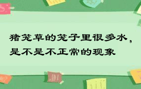 猪笼草的笼子里很多水，是不是不正常的现象