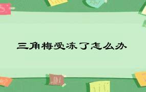 三角梅受冻了怎么办