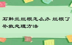 石斛兰烂根怎么办 烂根了补救处理方法