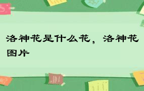 洛神花是什么花，洛神花图片