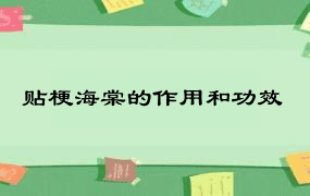 贴梗海棠的作用和功效