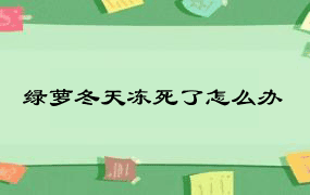 绿萝冬天冻死了怎么办