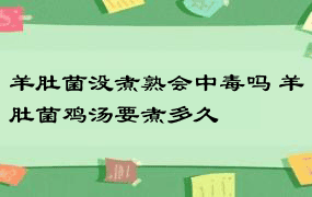 羊肚菌没煮熟会中毒吗 羊肚菌鸡汤要煮多久