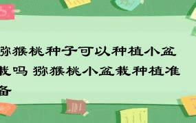 猕猴桃种子可以种植小盆栽吗 猕猴桃小盆栽种植准备