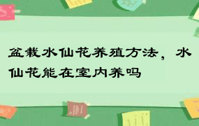 盆栽水仙花养殖方法，水仙花能在室内养吗