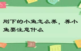 刚下的小鱼怎么养，养小鱼要注意什么