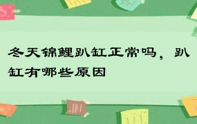 冬天锦鲤趴缸正常吗，趴缸有哪些原因