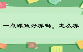 一点蝶鱼好养吗，怎么养