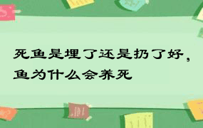 死鱼是埋了还是扔了好，鱼为什么会养死