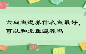 六间鱼混养什么鱼最好，可以和虎鱼混养吗