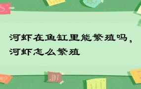 河虾在鱼缸里能繁殖吗，河虾怎么繁殖