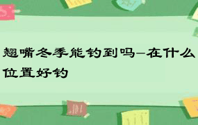 翘嘴冬季能钓到吗-在什么位置好钓