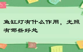 鱼缸灯有什么作用，光照有哪些好处