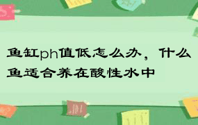 鱼缸ph值低怎么办，什么鱼适合养在酸性水中