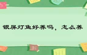 银屏灯鱼好养吗，怎么养