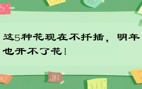 这5种花现在不扦插，明年也开不了花！