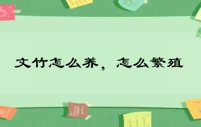 文竹怎么养，怎么繁殖