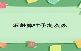 石斛掉叶子怎么办