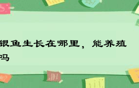 银鱼生长在哪里，能养殖吗