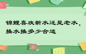 锦鲤喜欢新水还是老水，换水换多少合适