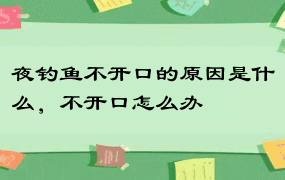 夜钓鱼不开口的原因是什么，不开口怎么办