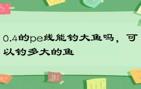 0.4的pe线能钓大鱼吗，可以钓多大的鱼