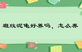 斑纹泥龟好养吗，怎么养