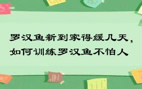 罗汉鱼新到家得缓几天，如何训练罗汉鱼不怕人