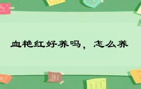 血艳红好养吗，怎么养