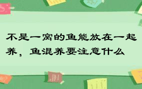 不是一窝的鱼能放在一起养，鱼混养要注意什么