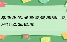 草鱼和孔雀鱼能混养吗-能和什么鱼混养