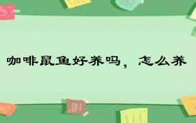 咖啡鼠鱼好养吗，怎么养