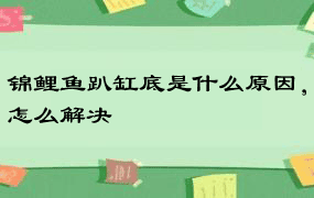 锦鲤鱼趴缸底是什么原因，怎么解决