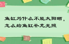 鱼缸为什么不能太阳晒，怎么给鱼缸补充光照