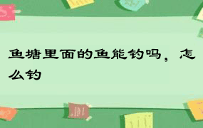 鱼塘里面的鱼能钓吗，怎么钓