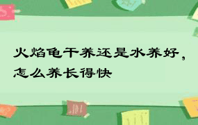 火焰龟干养还是水养好，怎么养长得快