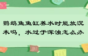 鹦鹉鱼鱼缸养水时能放沉木吗，水过于浑浊怎么办