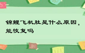 锦鲤飞机肚是什么原因，能恢复吗