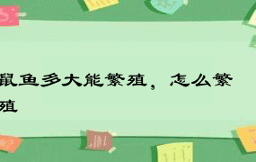 鼠鱼多大能繁殖，怎么繁殖