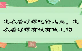 怎么看浮漂吃铅几克，怎么看浮漂有没有鱼上钩