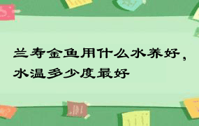 兰寿金鱼用什么水养好，水温多少度最好