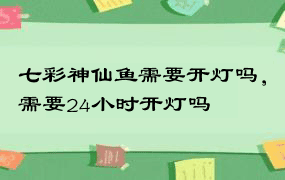 七彩神仙鱼需要开灯吗，需要24小时开灯吗