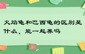 火焰龟和巴西龟的区别是什么，能一起养吗