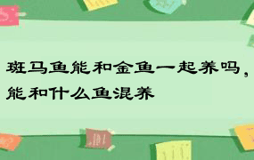 斑马鱼能和金鱼一起养吗，能和什么鱼混养