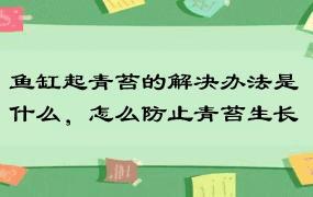 鱼缸起青苔的解决办法是什么，怎么防止青苔生长