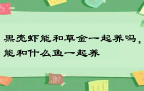 黑壳虾能和草金一起养吗，能和什么鱼一起养