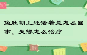 鱼肚朝上还活着是怎么回事，失鳔怎么治疗